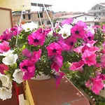 Bed & Breakfast Del Sole Tropea Riaci