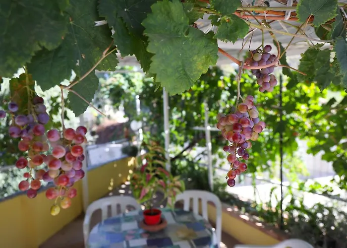 Del Sole Tropea 住宿加早餐酒店 3*