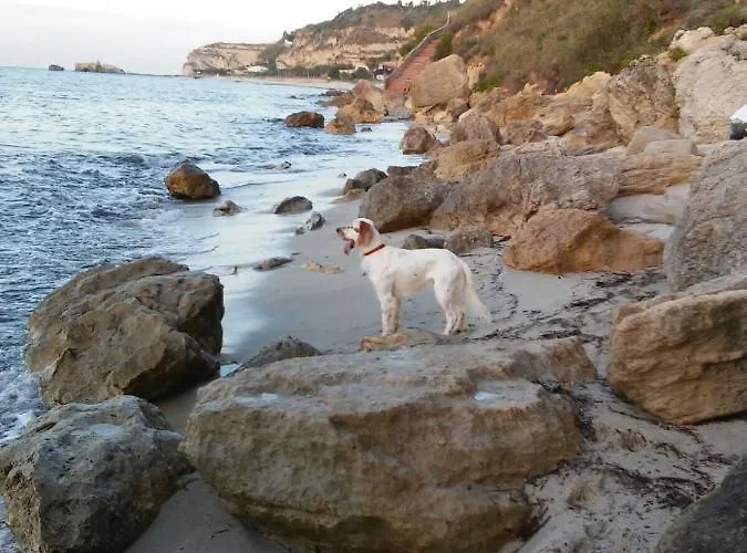 住宿加早餐酒店 Del Sole Tropea Riaci