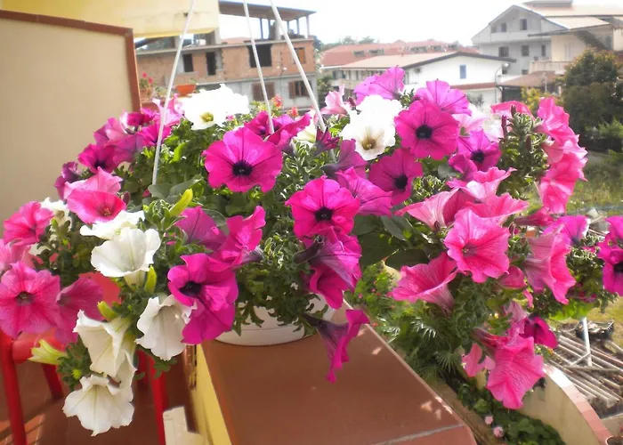 住宿加早餐酒店 Del Sole Tropea Riaci